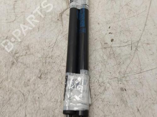 Used Tailgate lift support FIAT PANDA (169_) 1.1 (169.AXA1A) (54 hp) 19889353