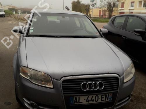 Køler AUDI A4 B7 (8EC)  | BP19895546M31 
