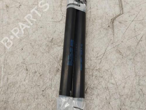 Tailgate lift support VW POLO (9N_, 9A_)  | BP19886750C138 