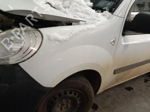 Left front fenders RENAULT KANGOO Express (FW0/1_) 1.5 dCi 75 (FW07, FW10, FW04) | BP19879932C41 