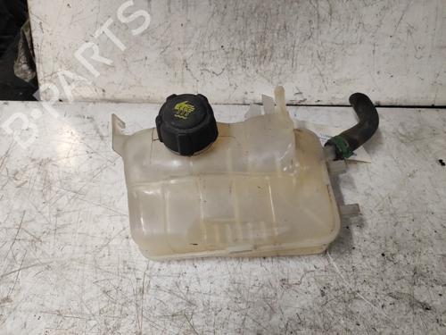 Used Expansion tank RENAULT SCÉNIC III (JZ0/1_) 1.6 dCi (JZ00, JZ12) (130 hp) 19901915