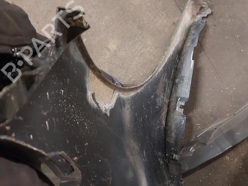 Left front fenders RENAULT SCÉNIC III (JZ0/1_) 1.5 dCi | BP19881658C41 