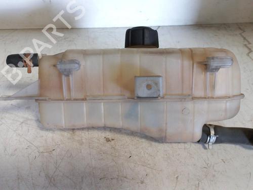 Used Expansion tank RENAULT CLIO III (BR0/1, CR0/1) 1.5 dCi (BR17, CR17) (86 hp) 21981599