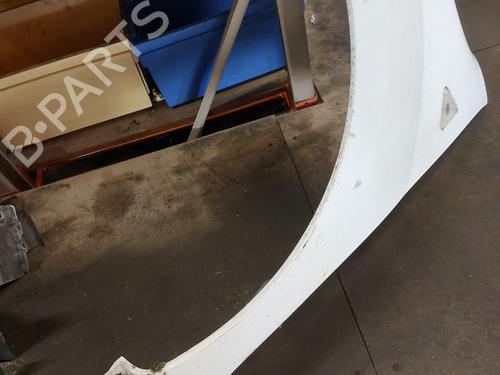 Left front fenders RENAULT KANGOO Express (FW0/1_)  | BP19879985C41 