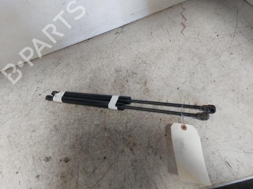 Tailgate lift support RENAULT CLIO IV (BH_) 1.5 dCi 75 | BP19887611C138 