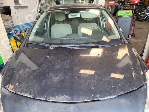 Hood RENAULT CLIO III (BR0/1, CR0/1) 1.2 16V (BR0P, CR0P) | BP19885443C1 