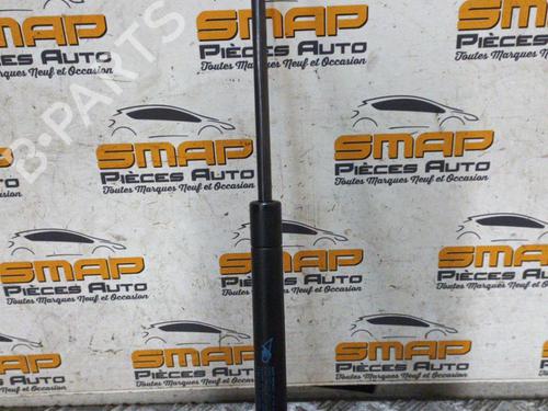 Tailgate lift support CITROËN C2 (JM_)  | BP19898274C138 