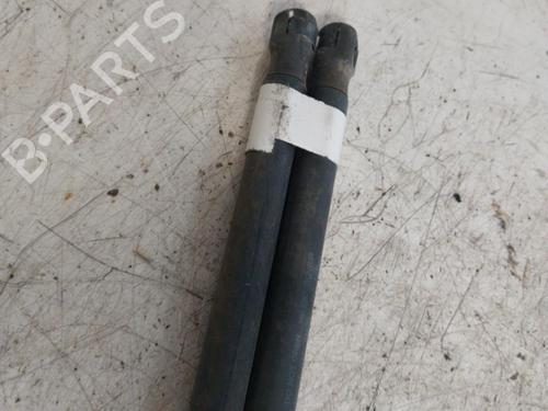 Gasdæmper bagklap FORD C-MAX (DM2) [2007-2010]  19897582