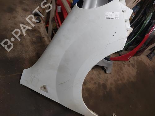 Right front fenders RENAULT KANGOO Express (FW0/1_) 1.5 dCi 75 (FW07, FW10, FW04) | BP19879933C42 