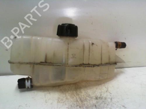 Used Expansion tank RENAULT CLIO III (BR0/1, CR0/1) 1.5 dCi (BR0H, CR0H, CR1S, BR1S) (106 hp) 19891690