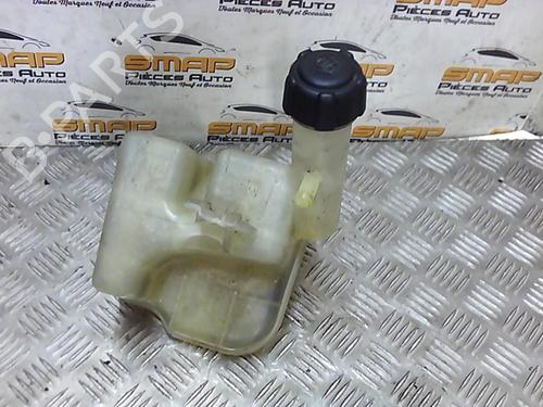 Ekspansjonstank RENAULT LAGUNA II (BG0/1_) 2.2 dCi (BG0F) | BP21977058C120 