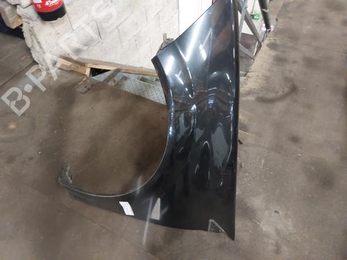 Left front fenders RENAULT MEGANE II (BM0/1_, CM0/1_) 1.5 dCi (BM02, BM13, BM2A, CM02, CM13) | BP25821498C41 