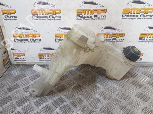 Used Expansion tank RENAULT LAGUNA III (BT0/1) 2.0 dCi (BT01, BT08, BT09, BT0E, BT0K, BT12, BT1C, BT1D,... (150 hp) 19894875