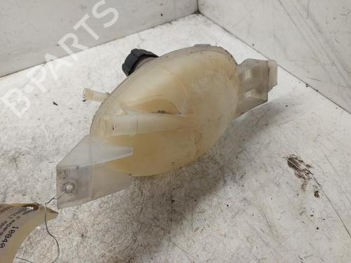 Deposito expansion RENAULT MASTER III Van (FV) 2.3 dCi 100 FWD (FV0A, FV0B, FV0G, FV0K, FV0H) (101 hp) 19892289