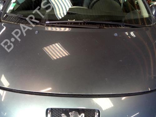 Used Hood PEUGEOT 207 (WA_, WC_) 1.4 HDi (68 hp) 19890787
