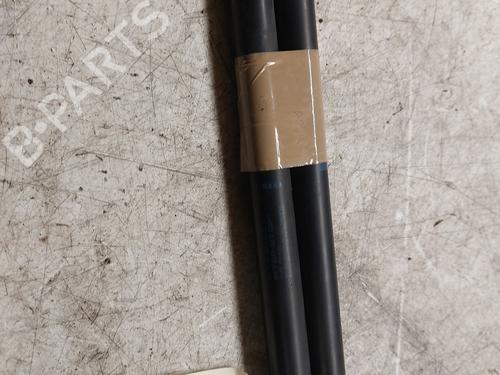 Tailgate lift support RENAULT SCÉNIC II (JM0/1_)  | BP21987765C138 