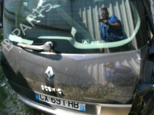 Ratstangsstang RENAULT SCÉNIC II (JM0/1_)  | BP19902493I23 