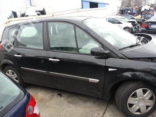Front windshield wiper arm RENAULT SCÉNIC II (JM0/1_)  | BP19885024C143 