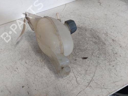 Used Expansion tank RENAULT MASTER III Van (FV) 2.3 dCi 125 FWD (FV0C, FV0D, FV0G, FV0H, FV0J, FV0K) (125 hp) 21983616