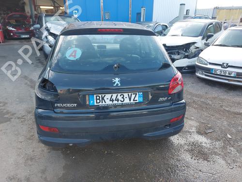 Steering pump PEUGEOT 206+ (2L_, 2M_) 1.1 | BP21997750M99 