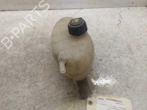 Used Expansion tank RENAULT TRAFIC II Van (FL) 2.0 dCi 115 (FL01, FL0U) (114 hp) 19887199