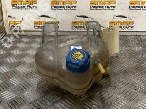 Used Expansion tank FIAT GRANDE PUNTO (199_) 1.3 D Multijet (199.AXD11, 199.AXD1A, 199.AXD1B,... (90 hp) 19891385