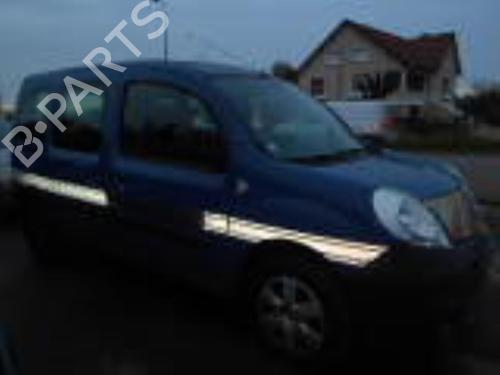 Left front fenders RENAULT KANGOO / GRAND KANGOO II (KW0/1_) 1.5 dCi 85 (KW0K, KW0L, KW0B) | BP19881700C41 