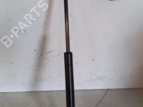 Used Tailgate lift support CITROËN C2 (JM_) 1.4 HDi (68 hp) 19882112