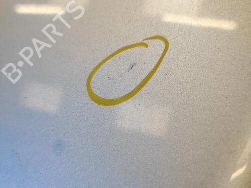 Capot VW NEW BEETLE (9C1, 1C1) 1.4 | BP21798127C1 