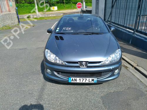 Alternator PEUGEOT 206 CC (2D)  | BP19898419M7 