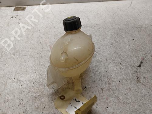 Used Expansion tank DACIA LOGAN MCV II TCe 90 (K8M1, K8MA, K8AC) (90 hp) 21997140