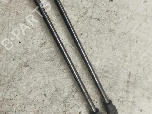 Tailgate lift support DACIA SANDERO II 1.5 Blue dCi 95 (B8JL) | BP19896740C138