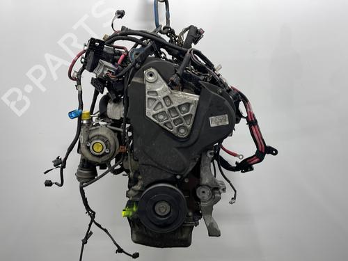 Engine RENAULT MEGANE III Hatchback (BZ0/1_, B3_) 1.9 dCi (BZ0N, BZ0J) | BP31817562M1 