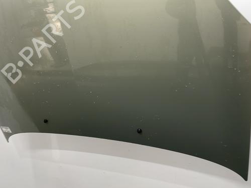 Hood RENAULT CLIO II (BB_, CB_) 1.5 dCi (B/CB07) | BP29514101C1 