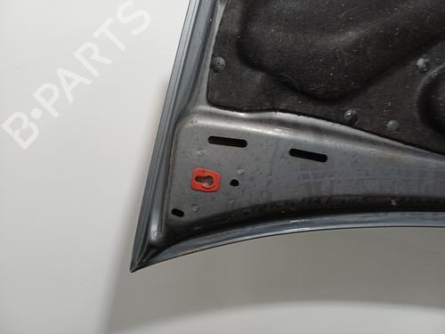 Used Hood Hood LANCIA MUSA (350_) 1.3 D Multijet (350.AXM11, 350.AXM1A, 350.AXI1A) (95 hp) 35892970 35892970