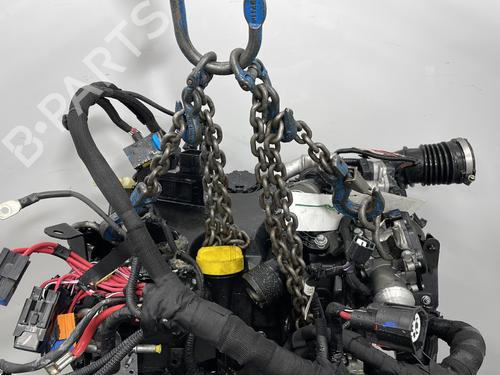 Motor RENAULT KANGOO Express (FW0/1_) 1.5 dCi 95 (FW16) | BP29604030M1 