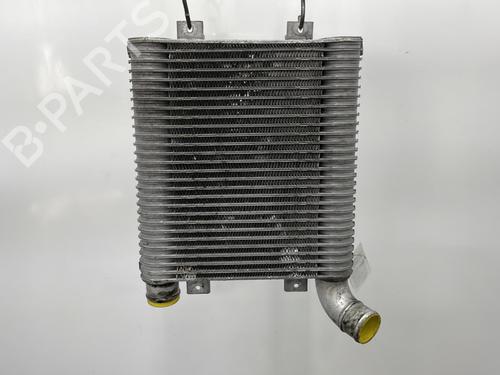 Intercooler HYUNDAI SANTA FÉ I (SM) 2.0 CRDi 4x4 | BP20440014M30 