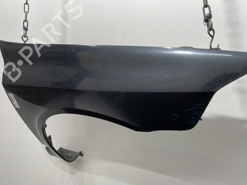 Right front fenders RENAULT LAGUNA II (BG0/1_) 1.9 dCi (BG1A, BG1W, BG0G) | BP20406308C42 
