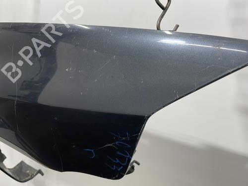 Right front fenders RENAULT LAGUNA II (BG0/1_) 1.9 dCi (BG1A, BG1W, BG0G) | BP20406308C42 