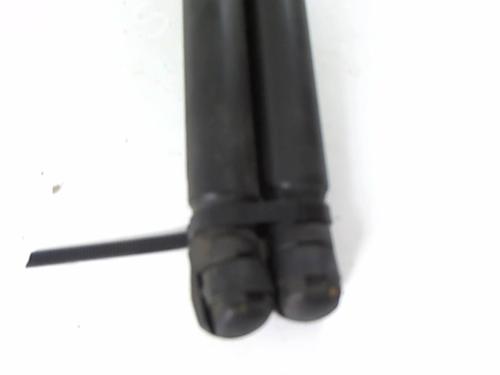 Tailgate lift support RENAULT CLIO III Grandtour (KR0/1_) 1.5 dCi (KR0F) | BP20448663C138