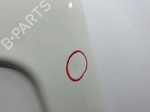 Left tailgate FORD TRANSIT CONNECT (P65_, P70_, P80_) 1.8 Di | BP20393877C76 