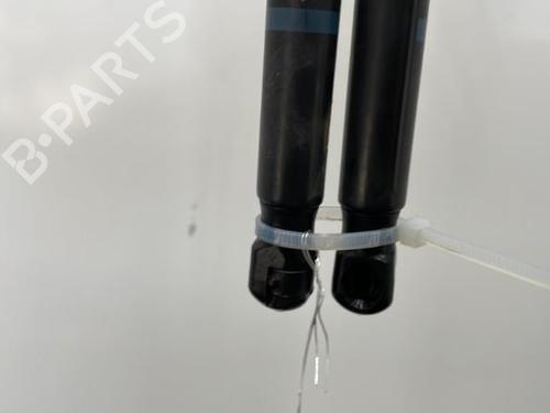 Used Tailgate lift support PEUGEOT 407 SW (6E_, 6D_) 1.6 HDi 110 (109 hp) 20438820
