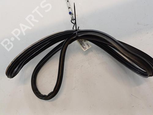 Rubber door seal TOYOTA COROLLA Verso (ZER_, ZZE12_, R1_) 2.0 D-4D (CUR10_, CUR10R) | BP20449816C142 