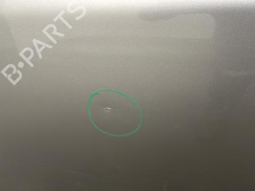 Left rear door HYUNDAI SANTA FÉ II (CM) 2.2 CRDi 4x4 | BP22415422C4 