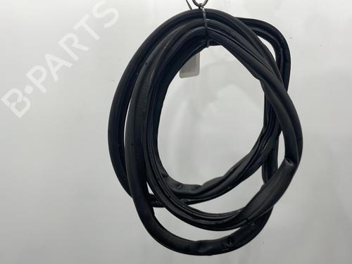 Used Rubber door seal SEAT ALHAMBRA (7V8, 7V9) 2.0 i (115 hp) 20491505