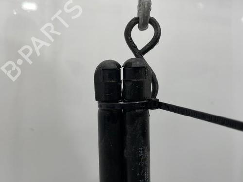 Tailgate lift support FIAT SEICENTO / 600 (187_) 1.1 (187AXB, 187AXB1A, 187AXC1A02) | BP20417939C138 