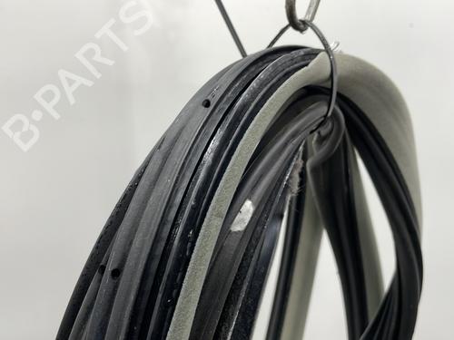 rubber-door-seal-renault-laguna-ii-bg01_-2001-2002-2003-2004-2005-2006-2007-24178087 main image