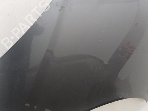 Hood RENAULT KOLEOS I (HY_) 2.0 dCi (HY0K) | BP20450527C1