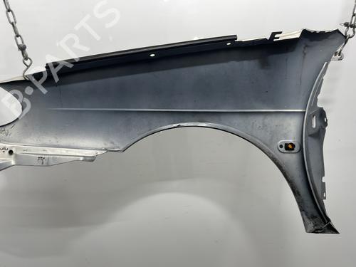 Right front fenders RENAULT MEGANE I (BA0/1_) 1.9 dTi (BA08, BA0N) | BP30161691C42