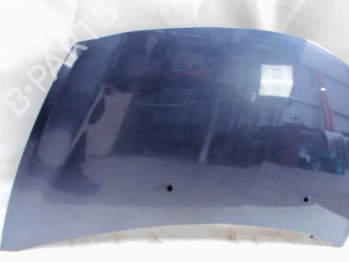 Hood RENAULT CLIO III (BR0/1, CR0/1) 1.5 dCi (C/BR0G, C/BR1G) | BP20409450C1 